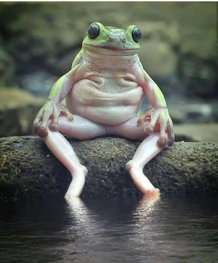 사우나하는 중년 아저씨