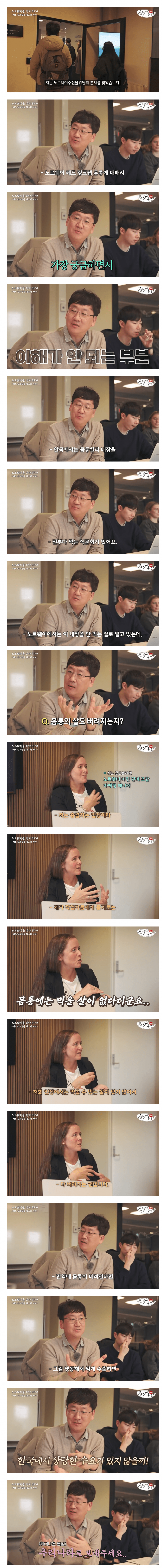 킹크랩 몸통 안먹고 다 버리는 맛알못 노르웨이