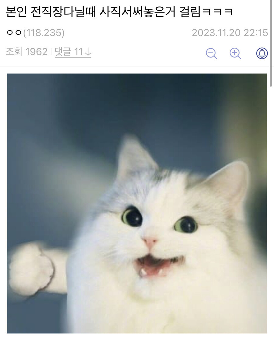 사직서 걸린 디시인.jpg