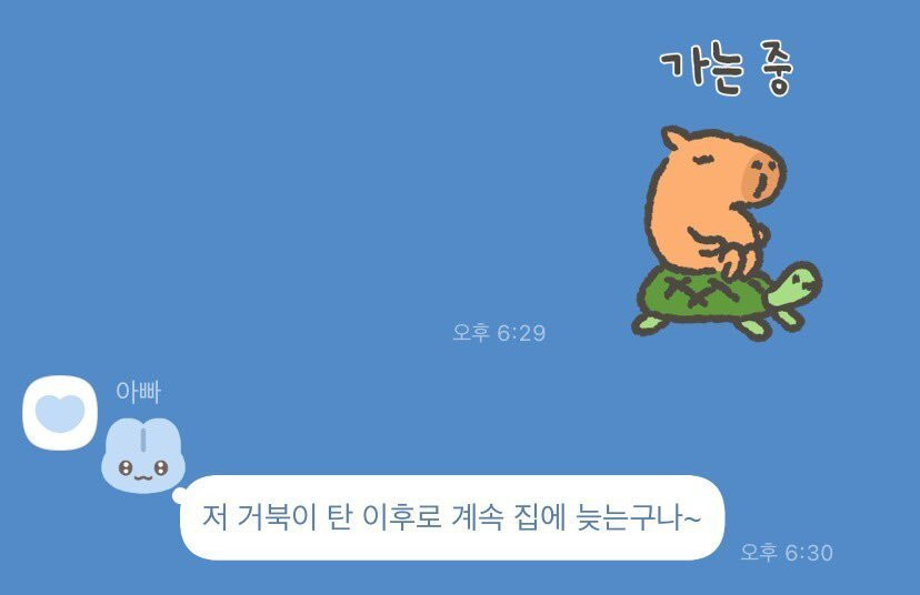 요즘 집에는 거북이를 타고 가요