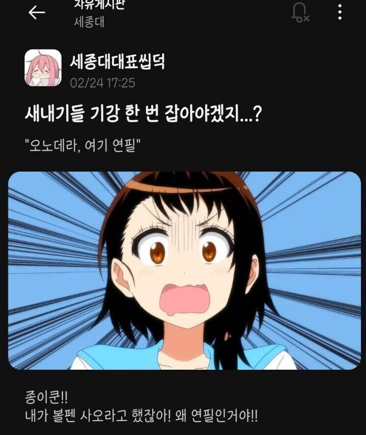 "새내기들 기강 한번 잡아야겠지?"