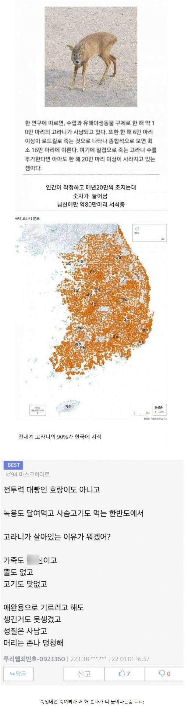 우리나라에서 한 해에 20만 마리씩 죽어 나가는 동물