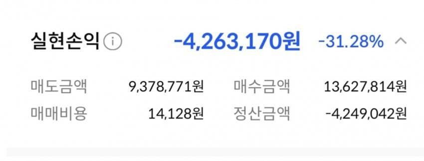 시드 1천 으로 1억모으기 후기