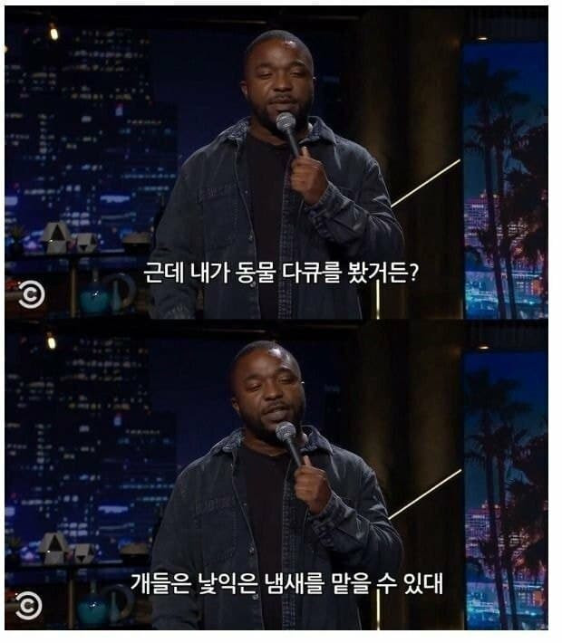1749272561298.jpg
