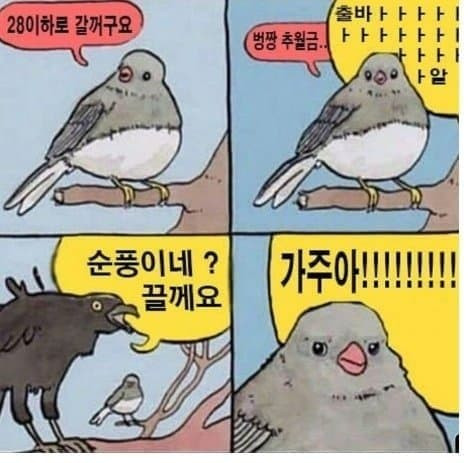 17495596930889.jpg
