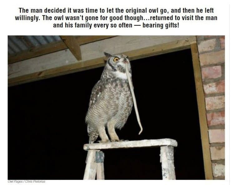 16719607075998.jpg