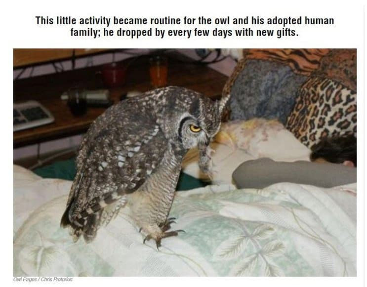 16719607157281.jpg