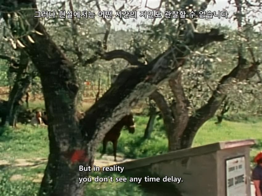 16889931916679.jpg