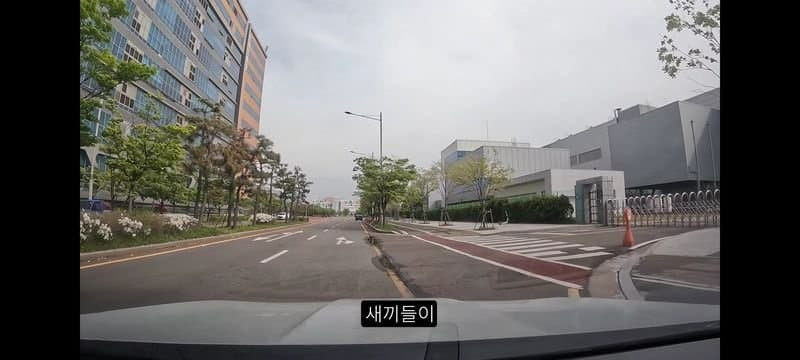 16893303943265.jpg