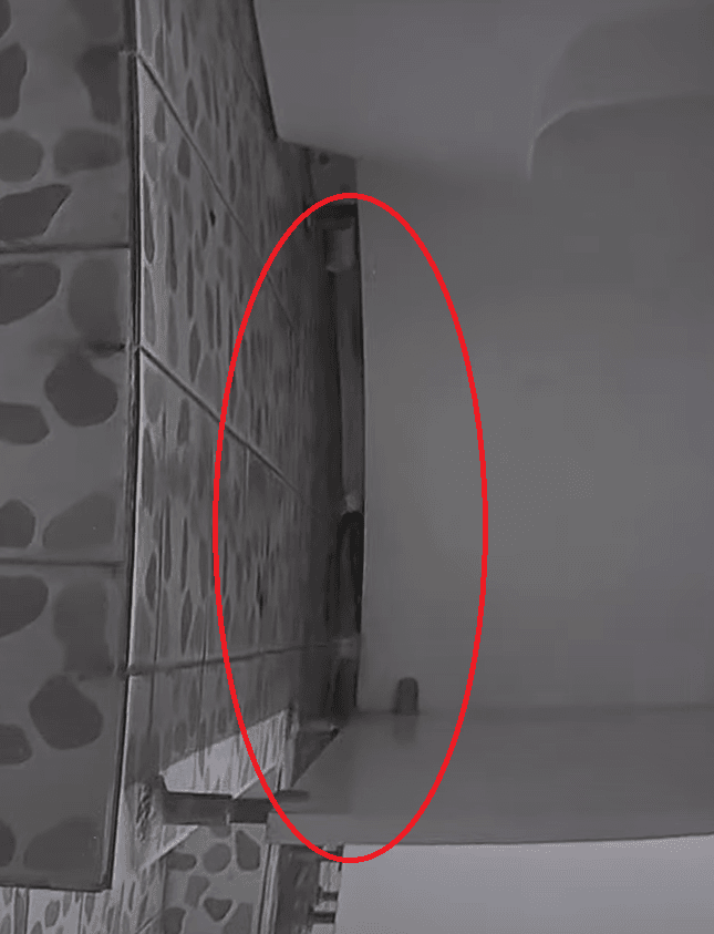 16893370375034.png