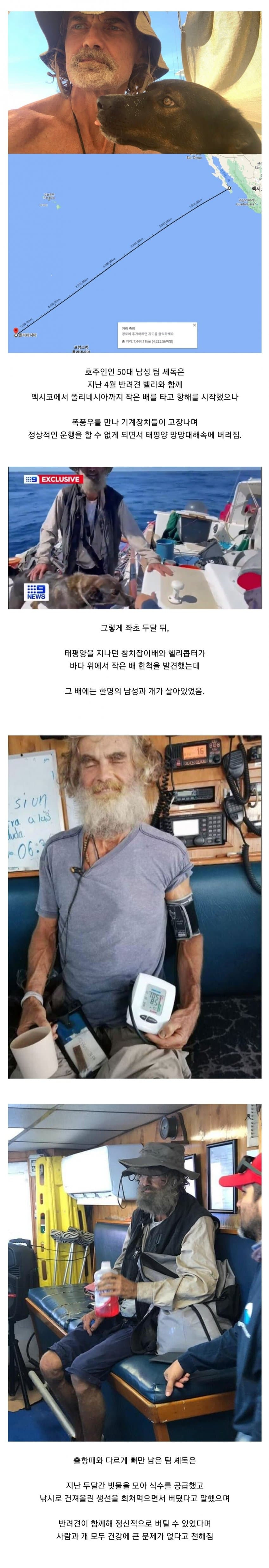 16896795754028.jpg