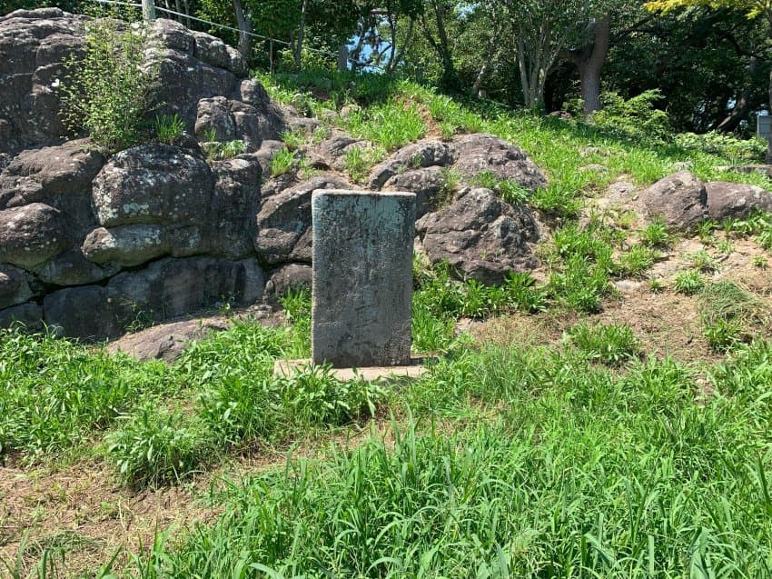 1691759191786.jpg
