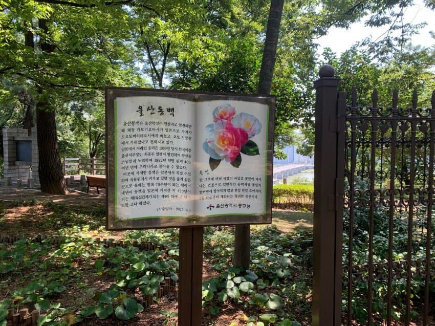 16917592088665.jpg