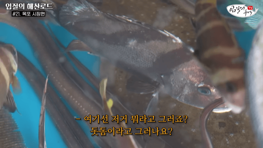 16933890917591.png
