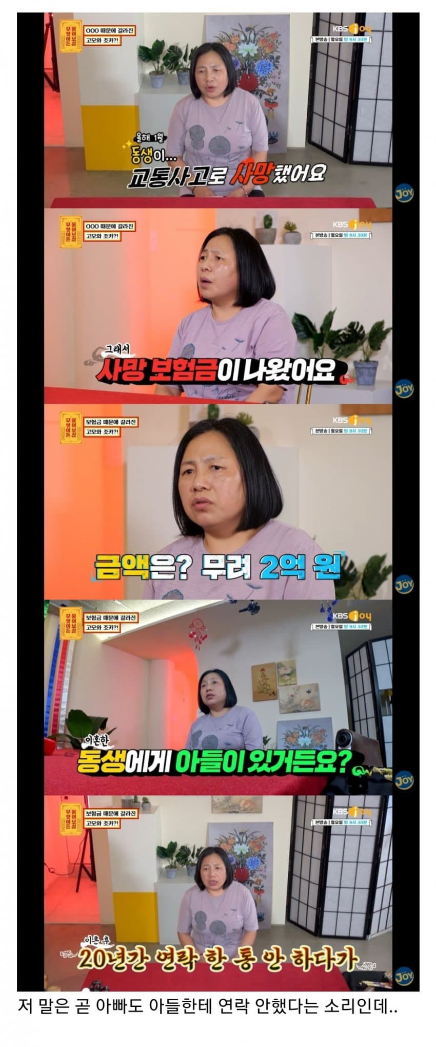 남동생 사망 보험금 독식한 조카