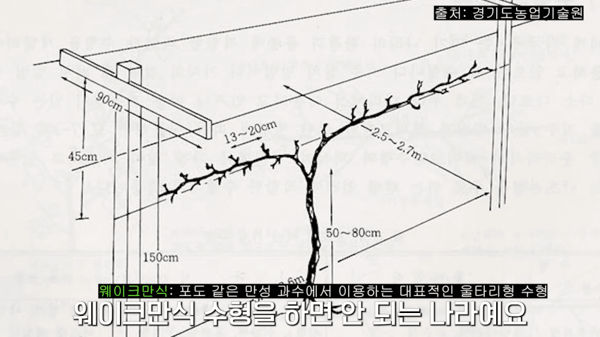 16953105858021.png