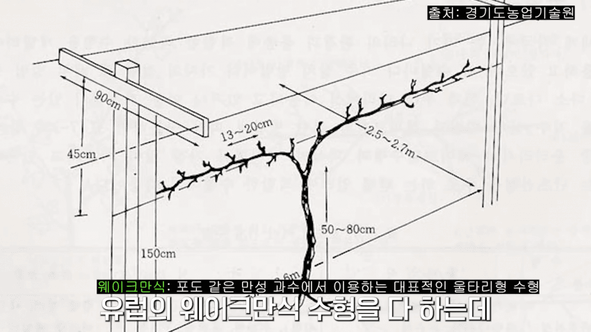 1695310587233.png