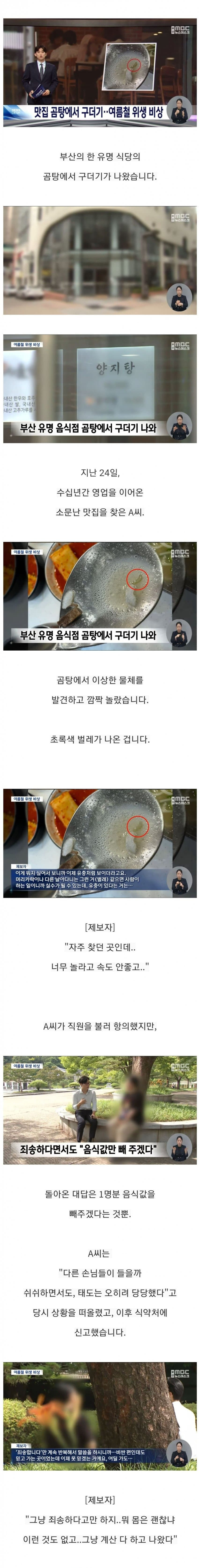 유명 맛집에서 나온 구더기