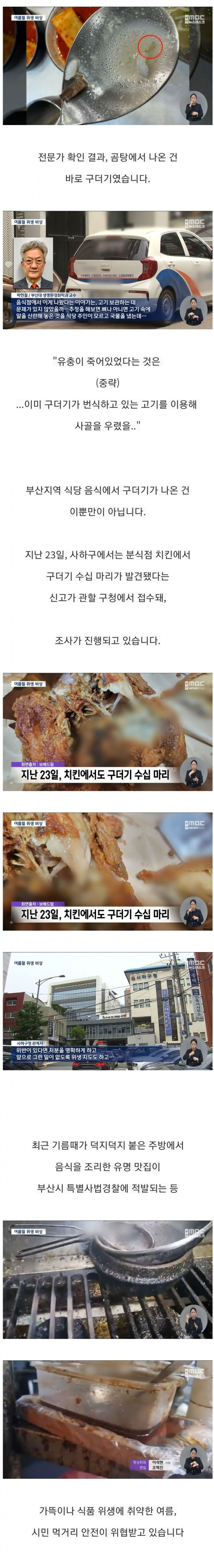 유명 맛집에서 나온 구더기