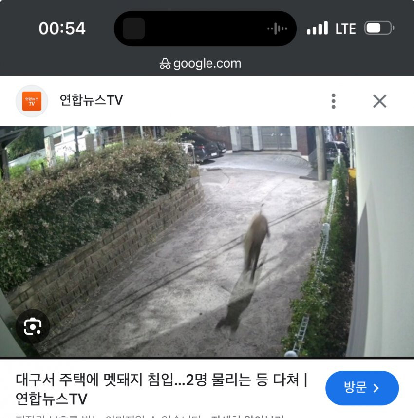 17271038253451.jpg